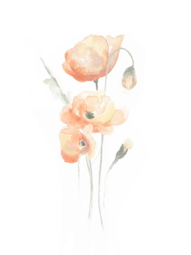 Art Print: Delicate Bouquet II