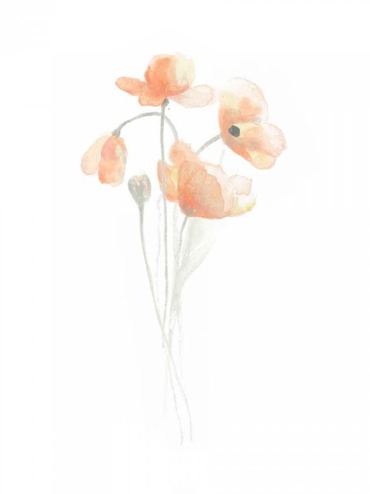 Art Print: Delicate Bouquet III