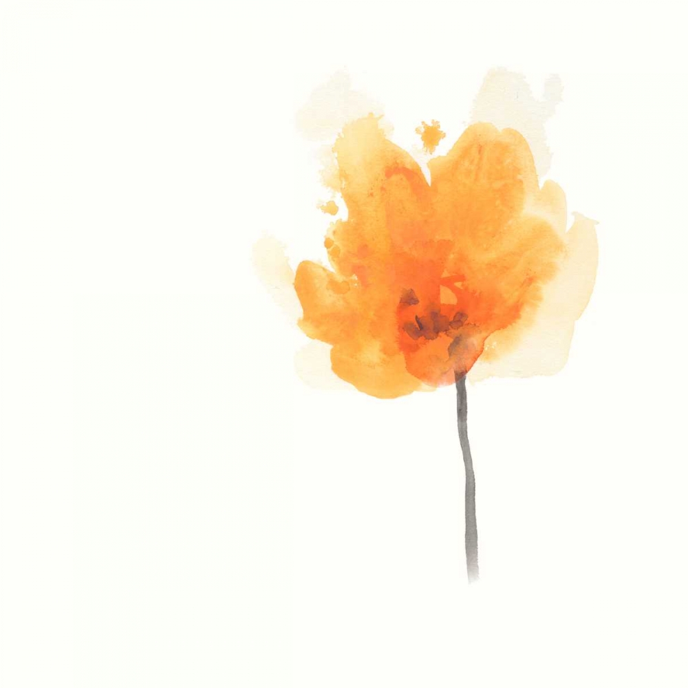 Art Print: Expressive Blooms IX