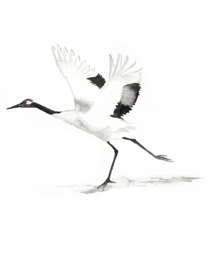 Wall art: Japanese Cranes III, by McCavitt, Naomi