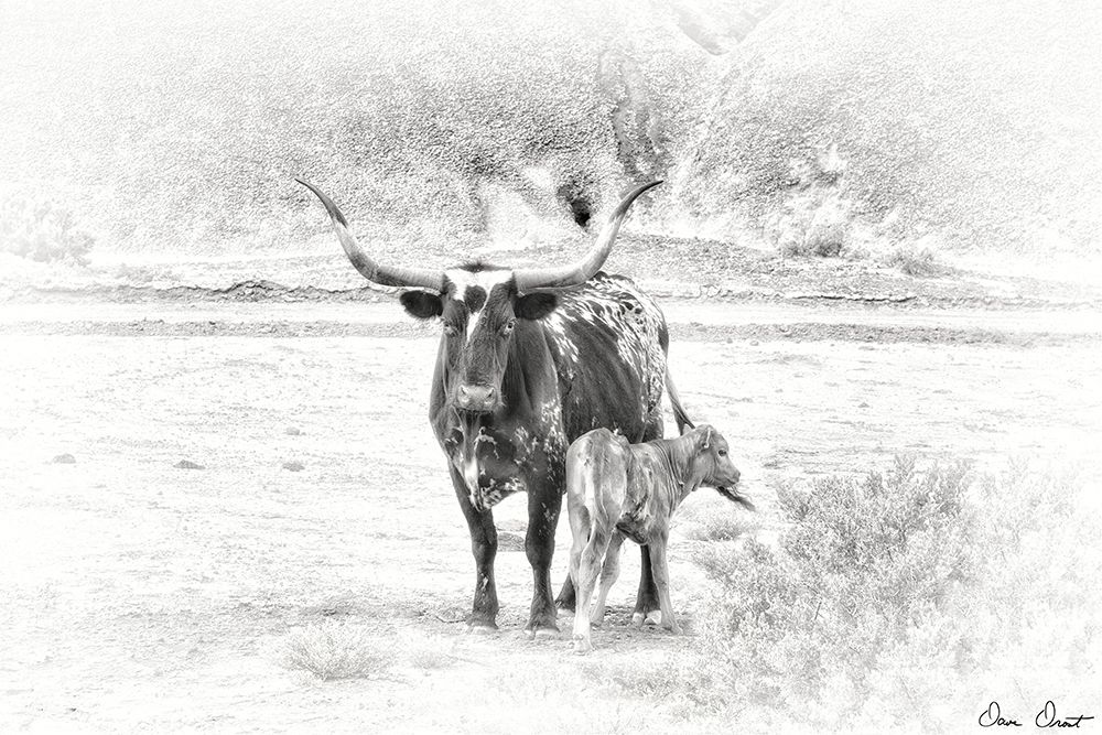 Art Print: Longhorn and Baby