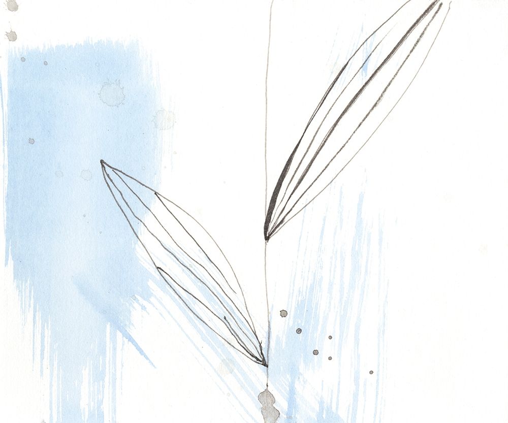 Wall art: Sketched Garden I, by Goldberger, Jennifer