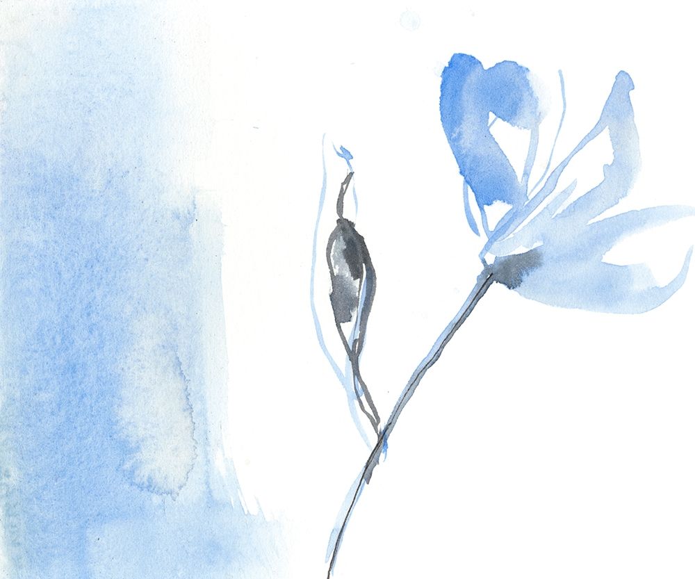 Wall Art Painting id:228108, Name: Sketched Garden II, Artist: Goldberger, Jennifer