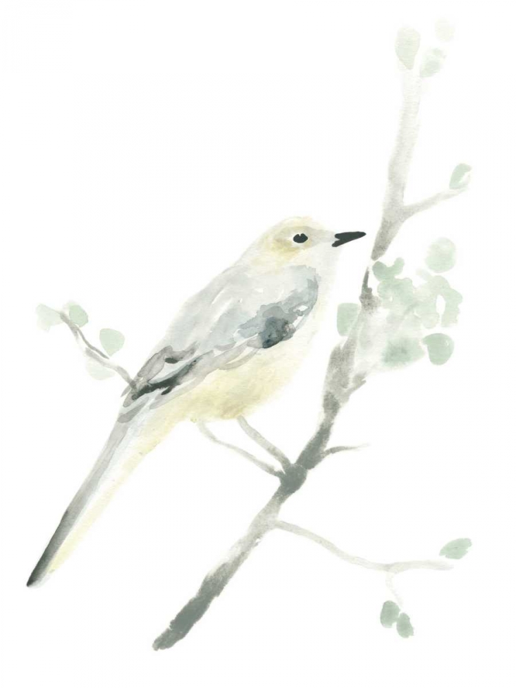 Wall art: Avian Impressions II, by Vess, June Erica