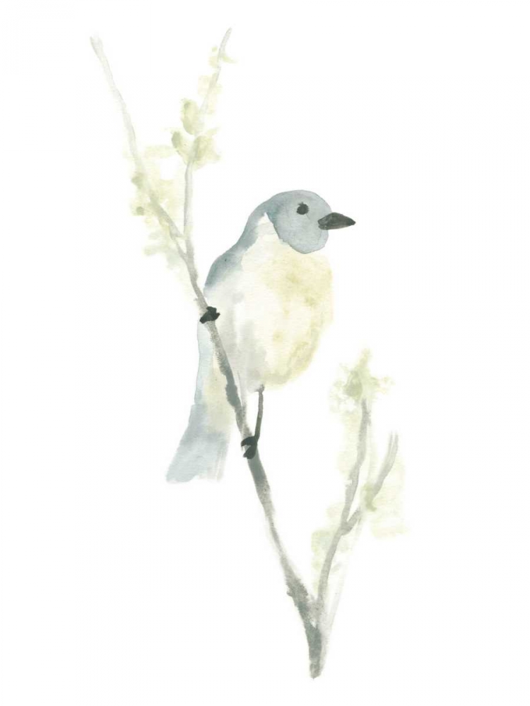 Wall art: Avian Impressions III, by Vess, June Erica