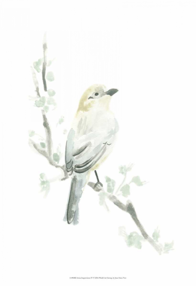 Art Print: Avian Impressions IV