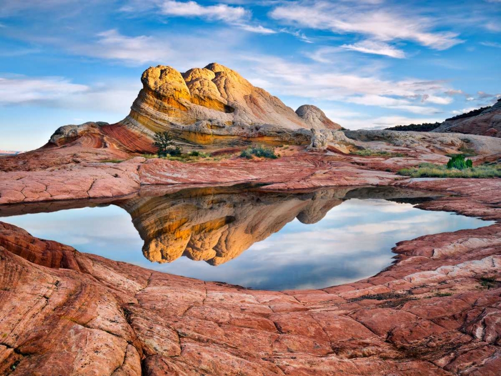 Art Print: Arizona Reflection II