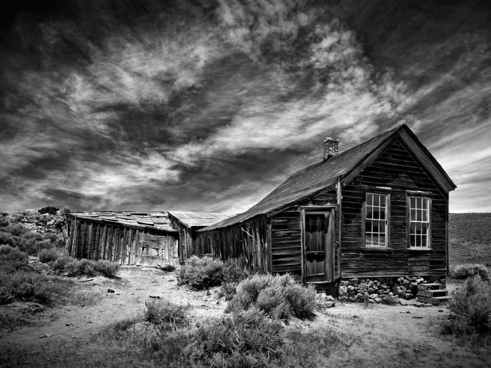 Art Print: BandW Desert View III