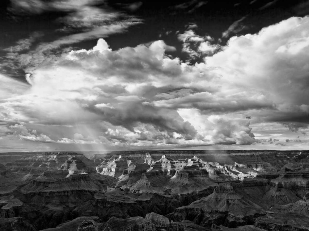 Art Print: BandW Desert View IV