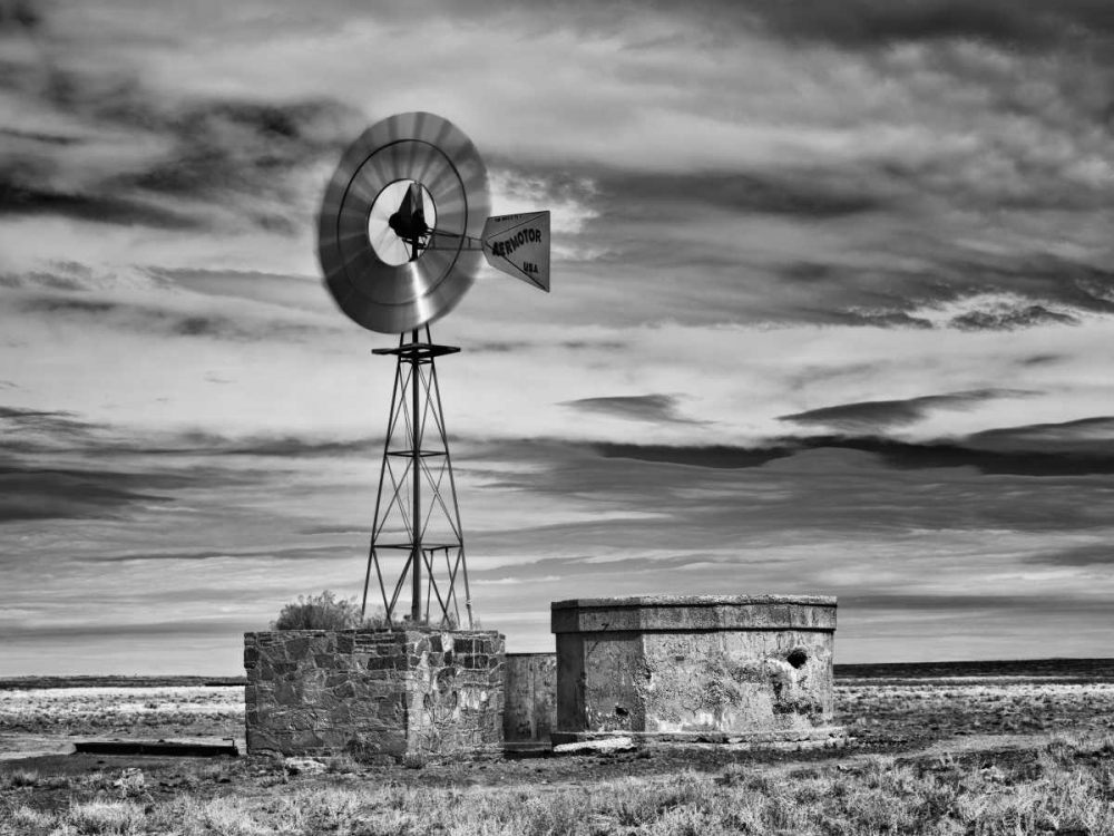 Art Print: BandW Desert View VI