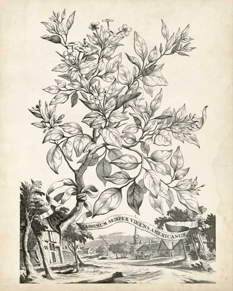 Art Print: Scenic Botanical II