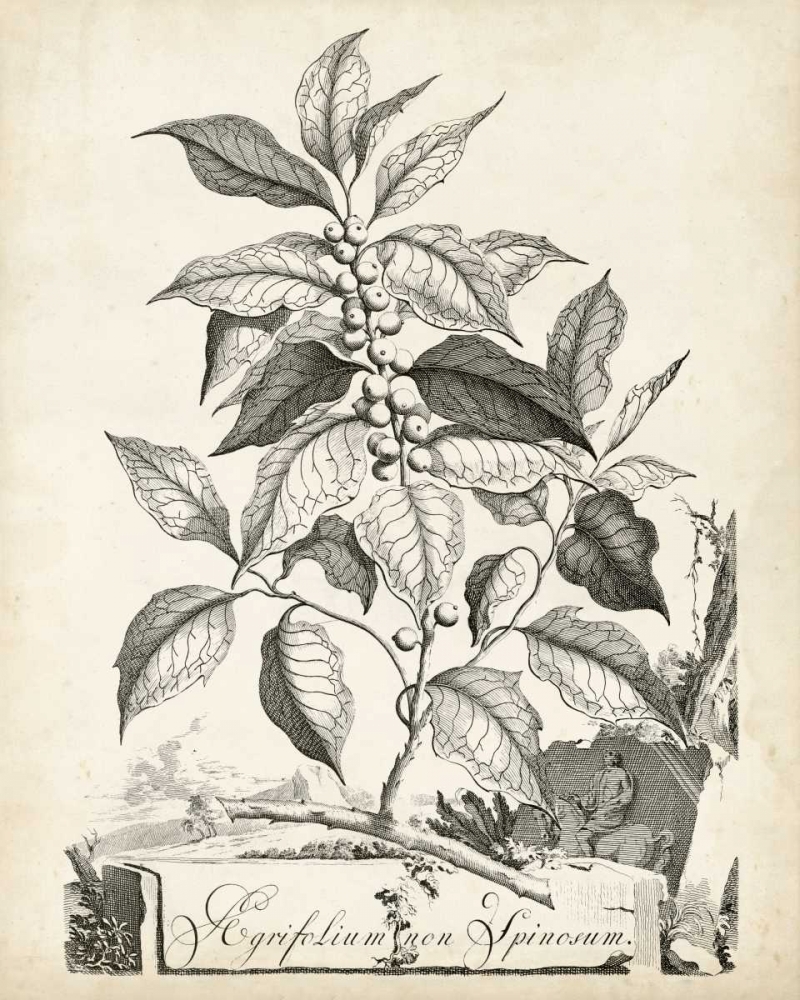 Art Print: Scenic Botanical III