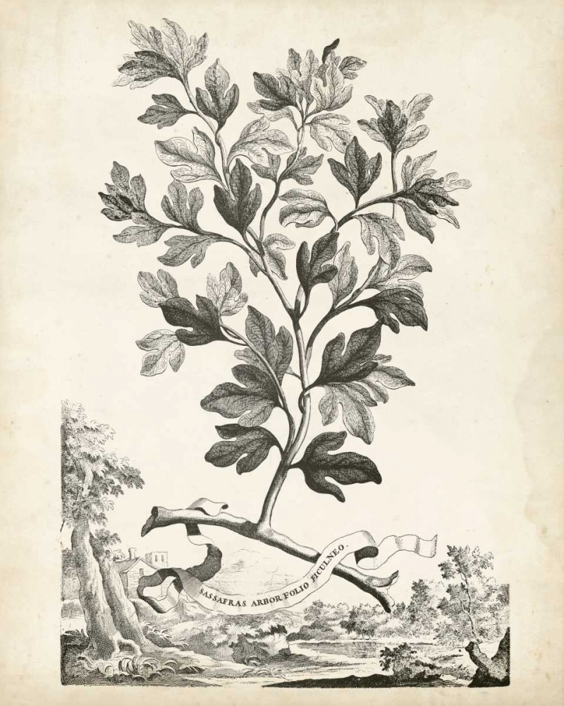 Wall Art Painting id:164995, Name: Scenic Botanical V, Artist: Munting, Abraham
