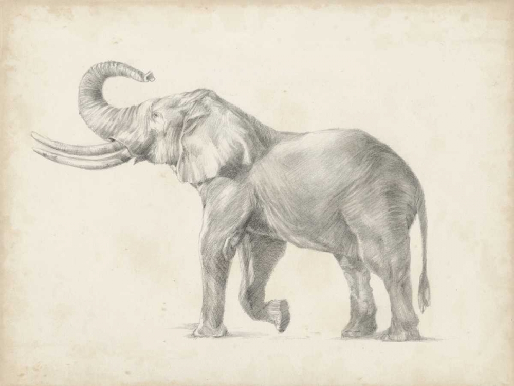 Wall Art Painting id:165032, Name: Elephant Sketch I, Artist: Harper, Ethan