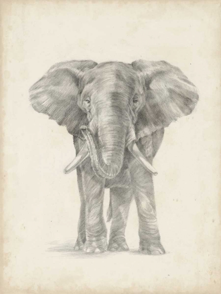 Wall Art Painting id:165033, Name: Elephant Sketch II, Artist: Harper, Ethan