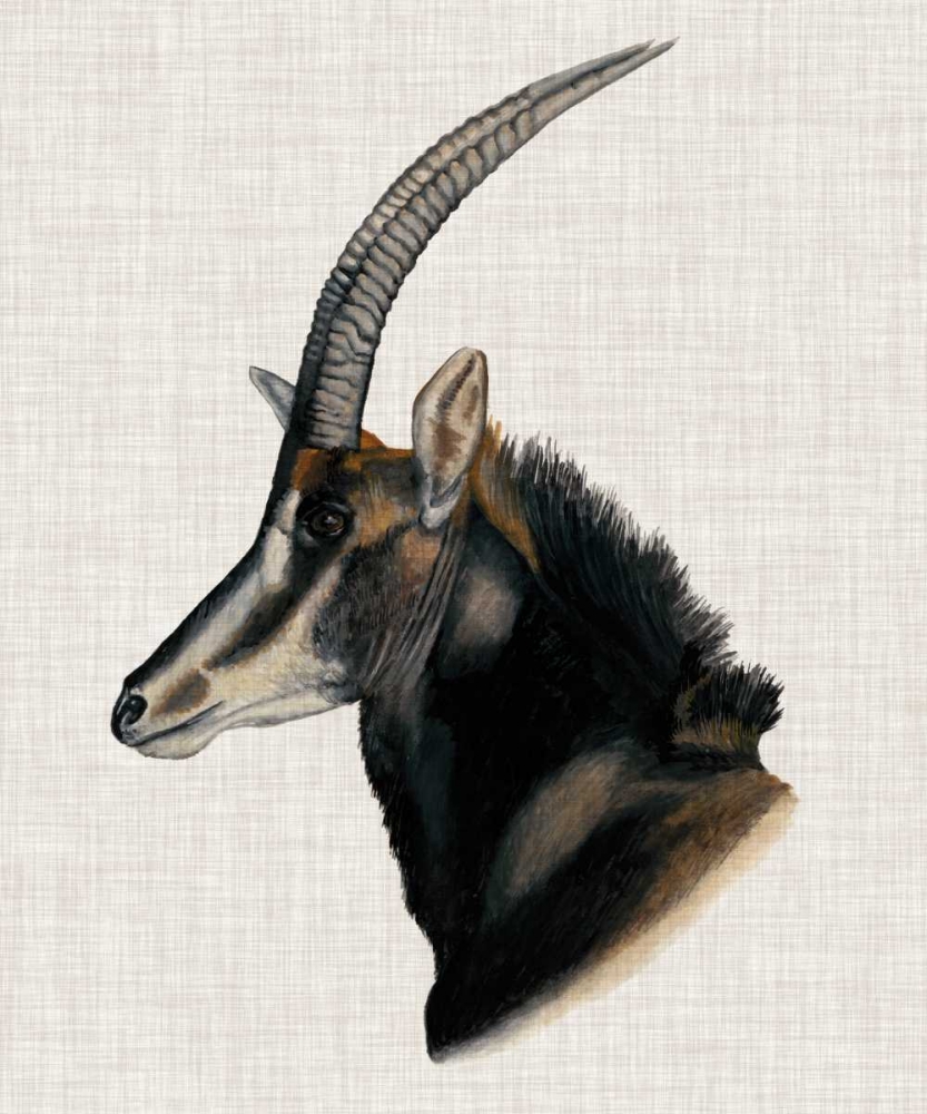 Wall art: Savanna Impressions III, by McCavitt, Naomi