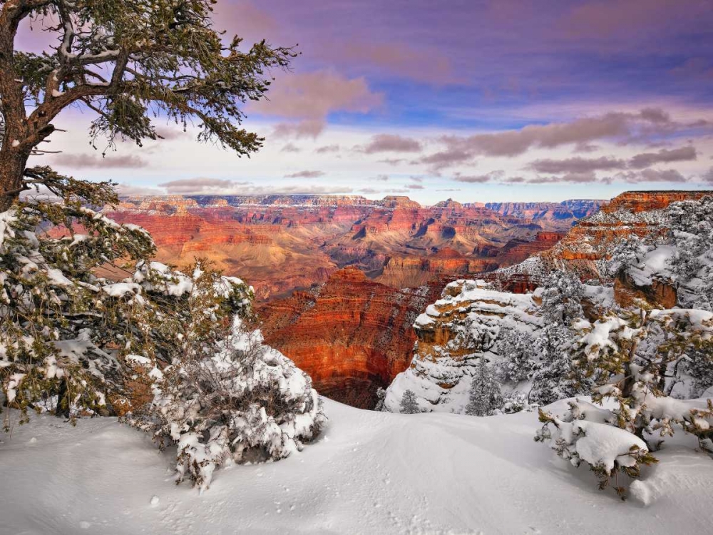 Art Print: Snowy Grand Canyon II