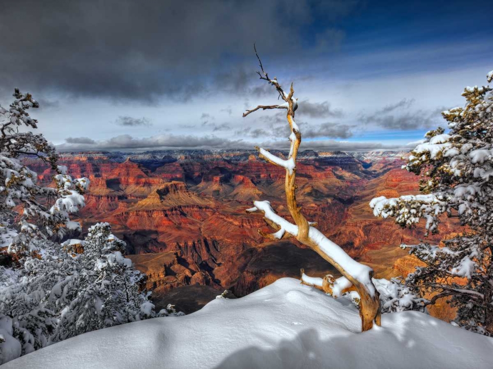 Art Print: Snowy Grand Canyon III