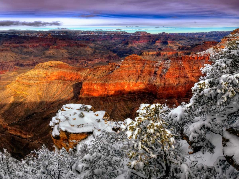 Art Print: Snowy Grand Canyon IV