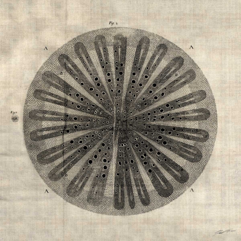 Art Print: Cross Cut III