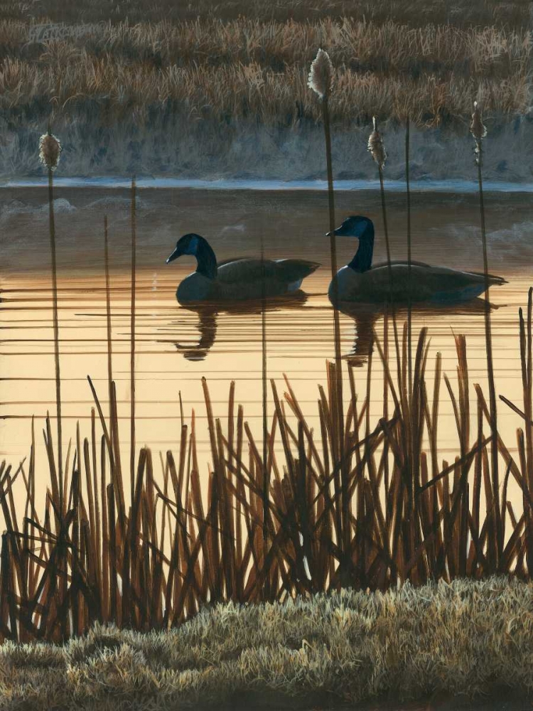 Art Print: First Light II