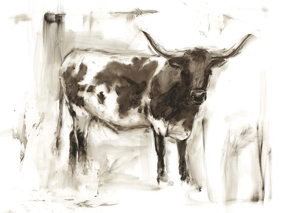 Wall Art Painting id:228120, Name: Longhorn Study I, Artist: Harper, Ethan