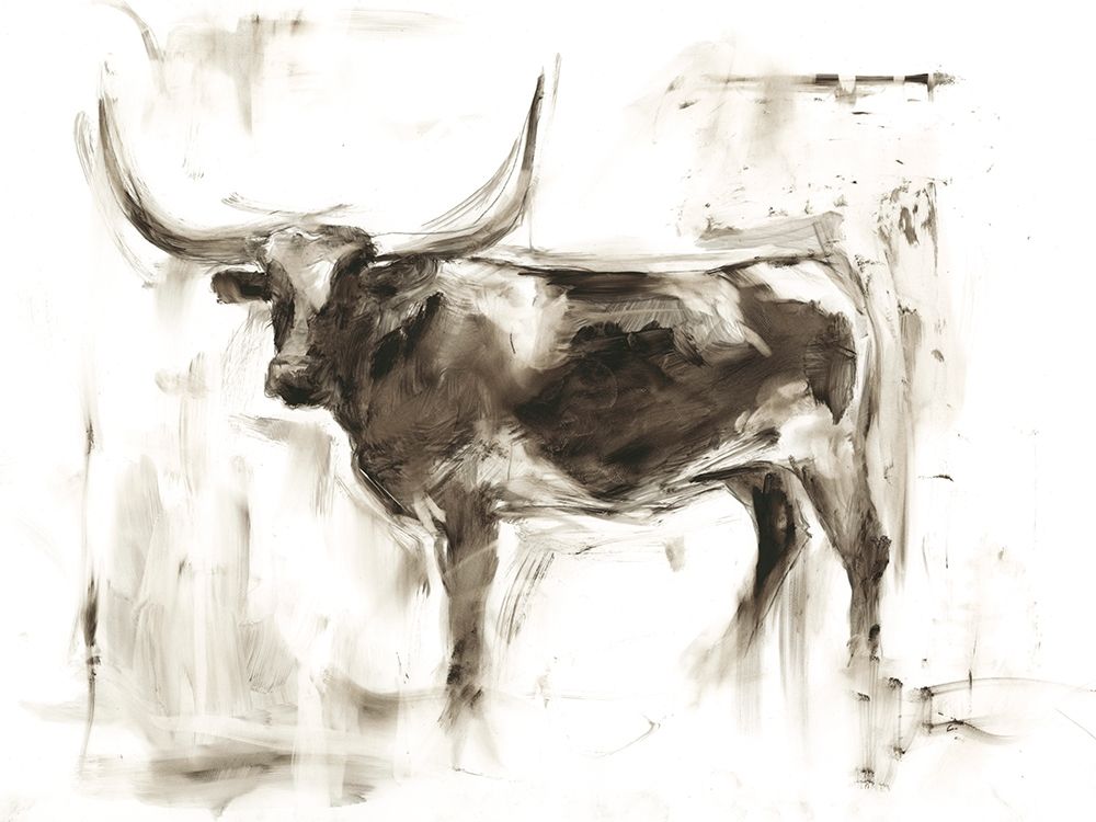 Wall Art Painting id:228121, Name: Longhorn Study II, Artist: Harper, Ethan