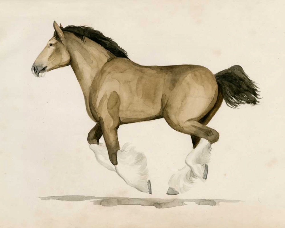 Wall Art Painting id:165433, Name: Clydesdale II, Artist: Popp, Grace