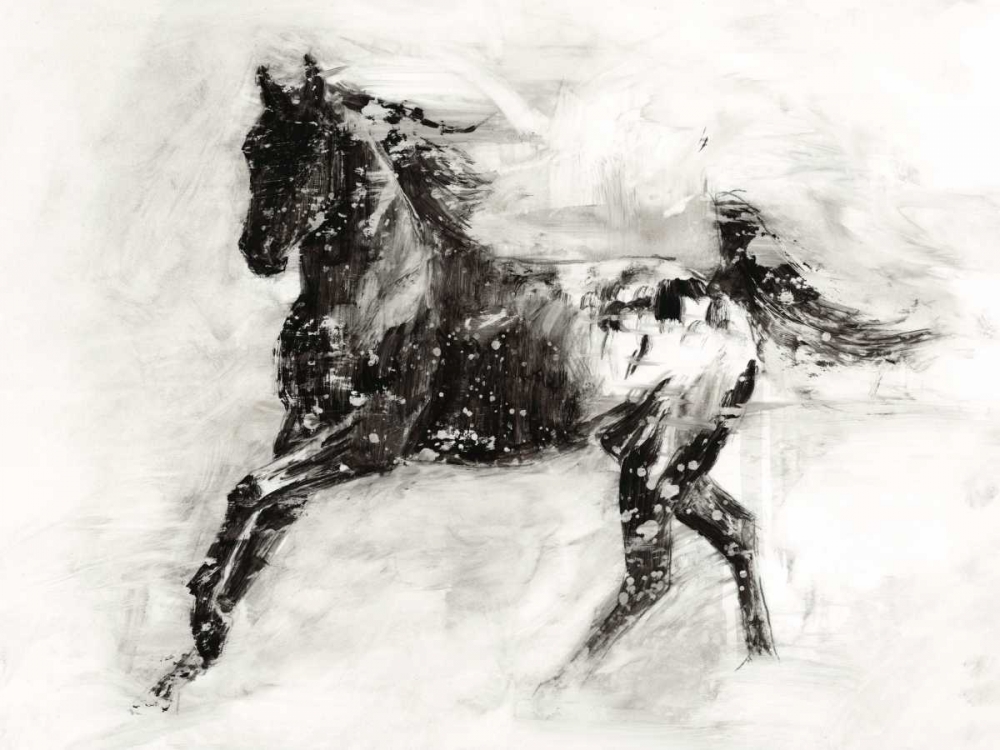 Art Print: Rustic Appaloosa II