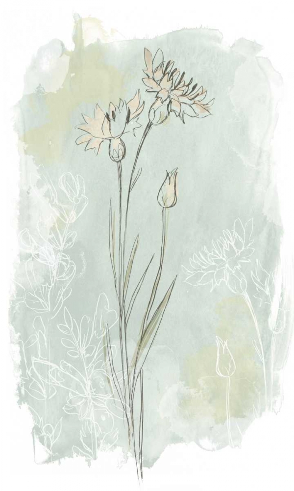 Wall art: Stone Flower Study I, by Vess, June Erica