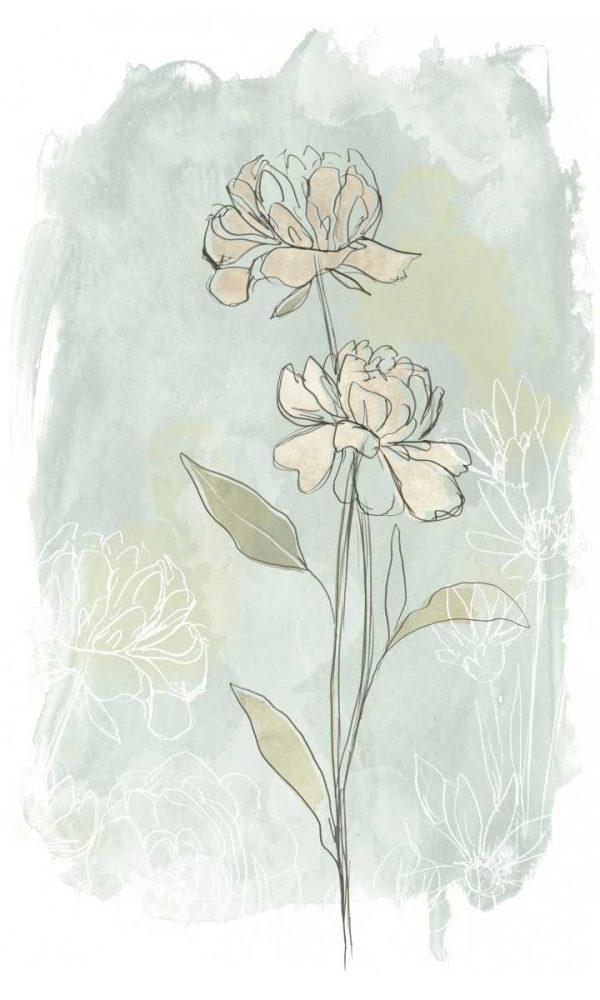 Wall art: Stone Flower Study II, by Vess, June Erica