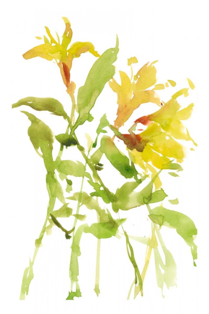 Wall Art Painting id:182668, Name: Watercolor Lilies I, Artist: Wang, Melissa