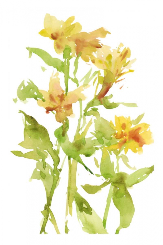 Wall Art Painting id:182669, Name: Watercolor Lilies II, Artist: Wang, Melissa