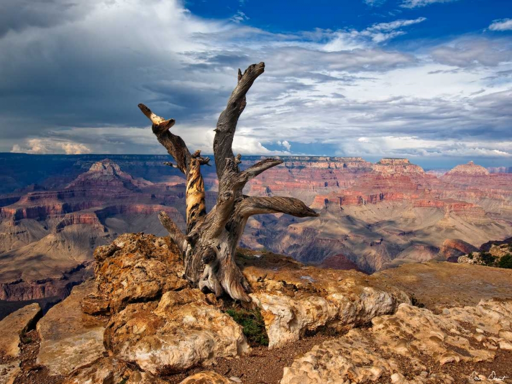 Wall art: Canyon View V, by Drost, David