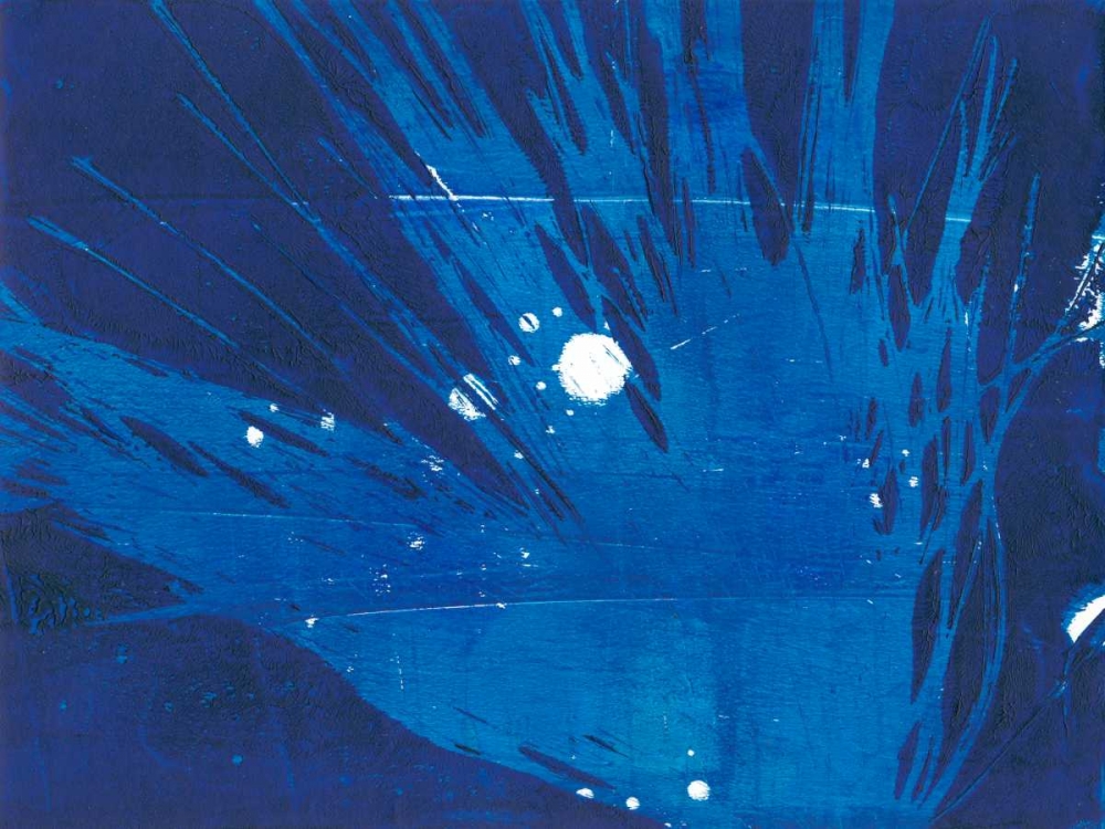 Wall Art Painting id:183058, Name: Indigo Burst I, Artist: Moore, Regina