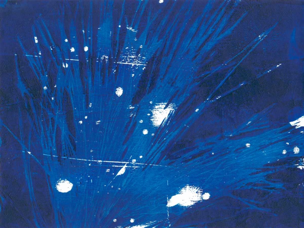 Wall Art Painting id:183059, Name: Indigo Burst II, Artist: Moore, Regina