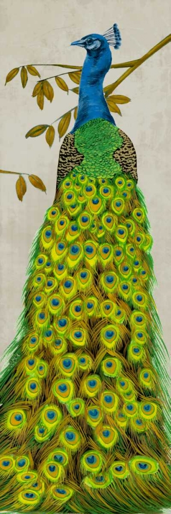 Art Print: Vintage Peacock II