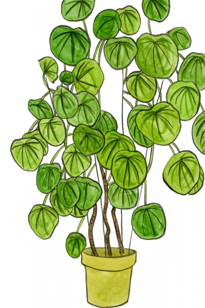 Wall Art Painting id:183152, Name: Potted Jungle II, Artist: Wang, Melissa