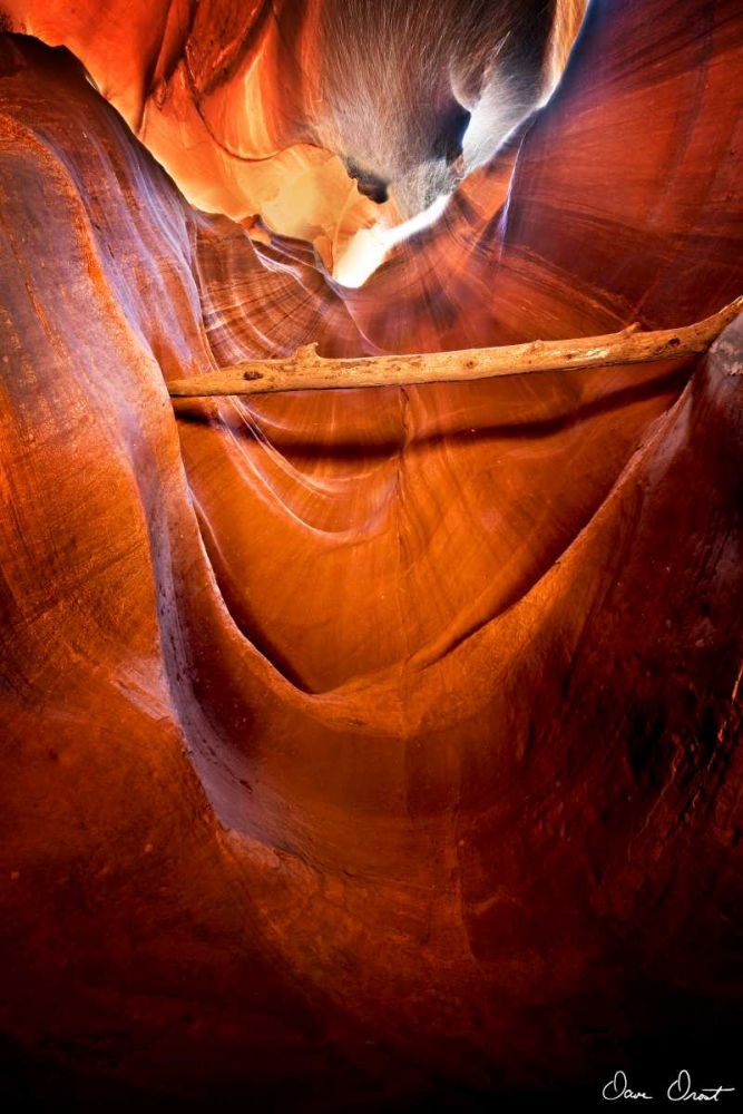 Art Print: Sun Shining Through Canyon V