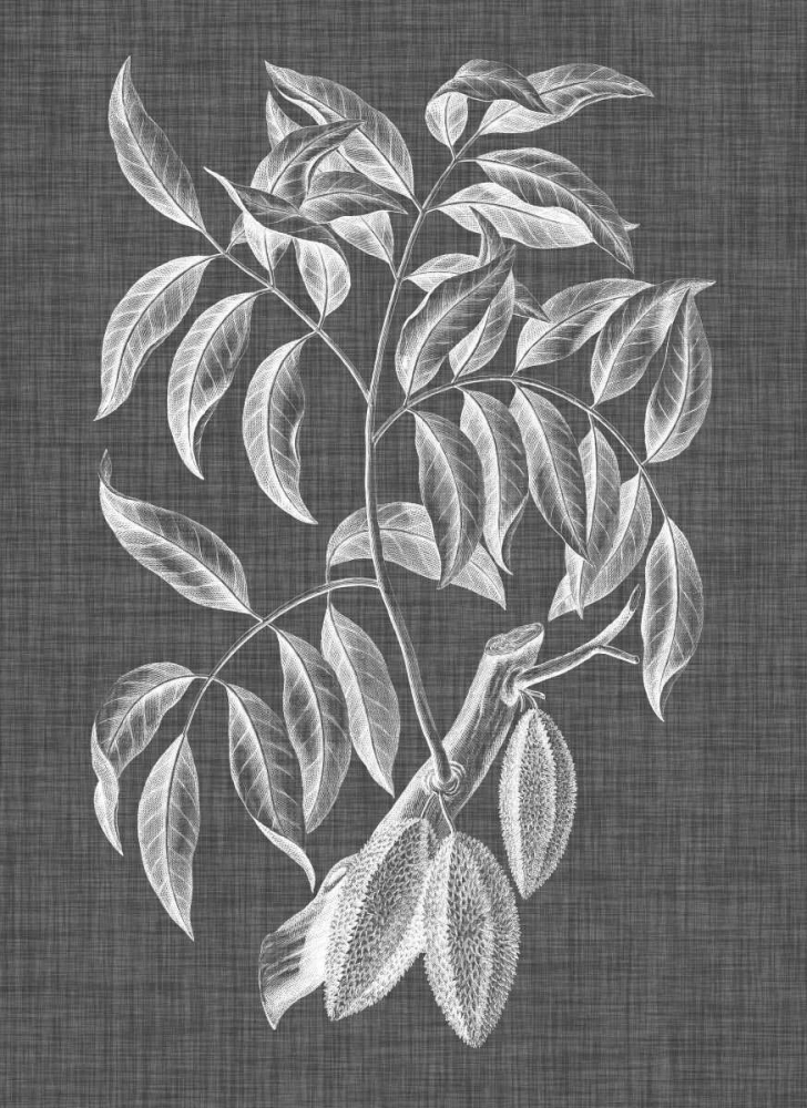 Art Print: Graphic Foliage III