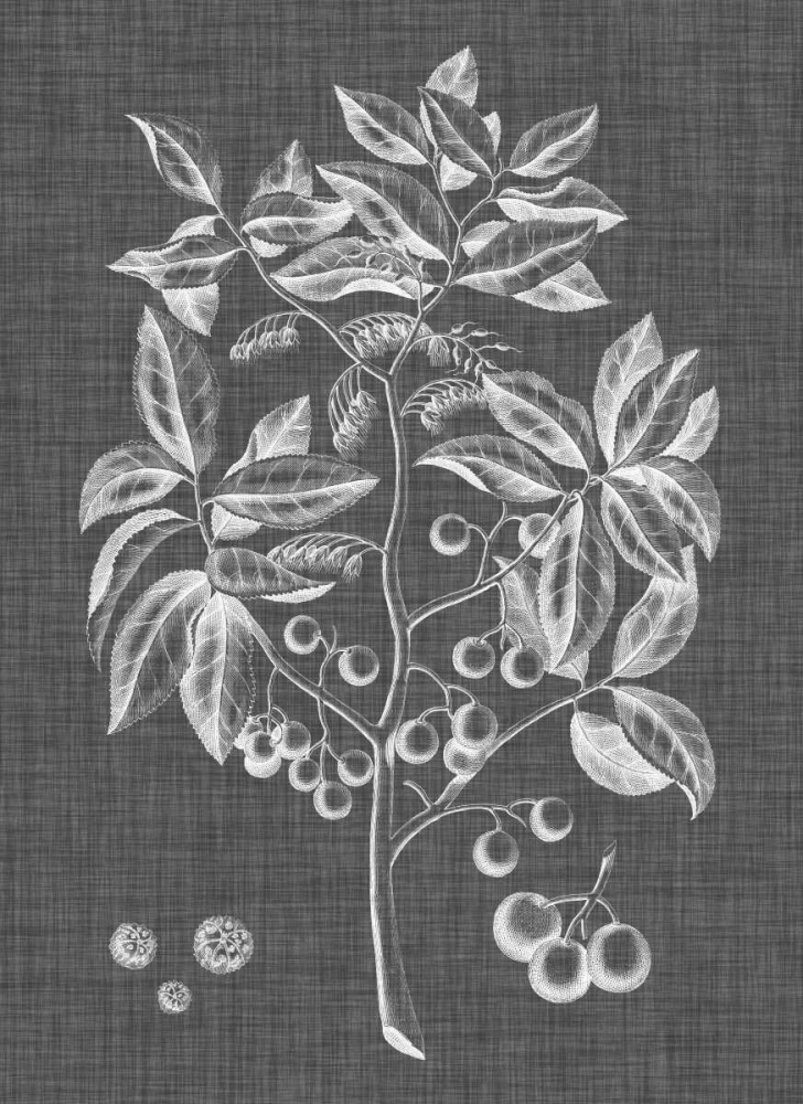 Art Print: Graphic Foliage VI