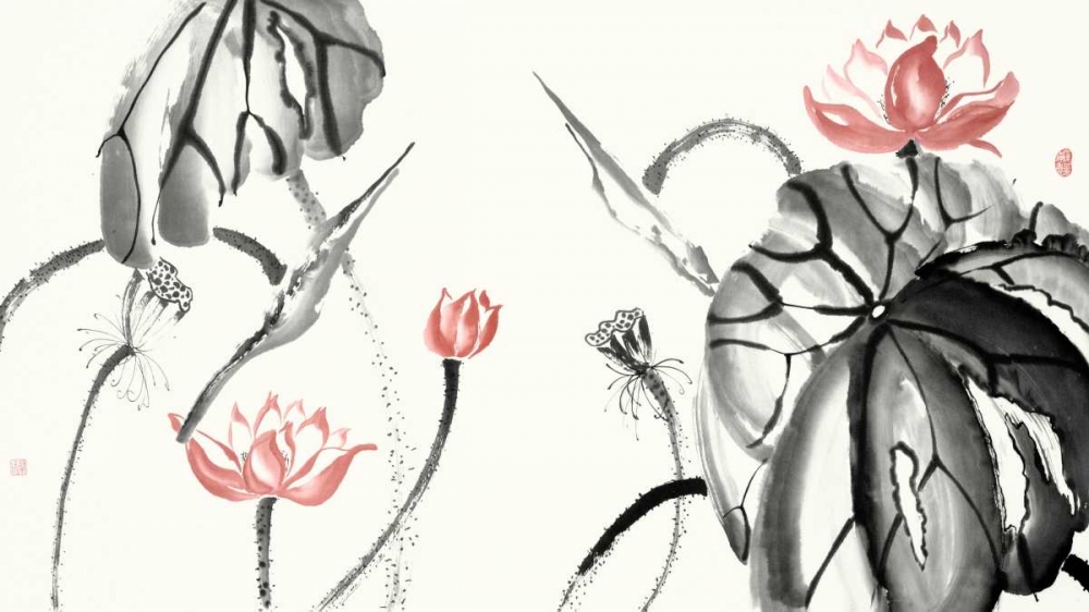 Wall art: Lotus Study with Coral II, by Rae, Nan