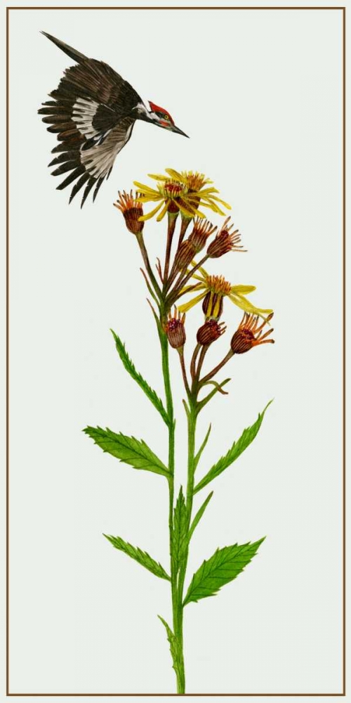 Similar wall art painting: 183486