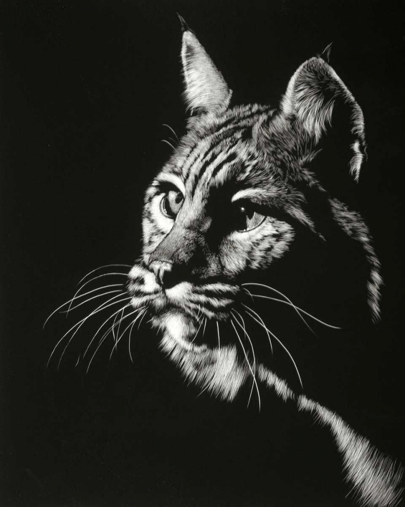 Art Print: Black Glimpse II