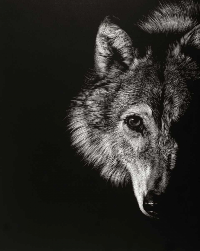 Art Print: Black Glimpse III