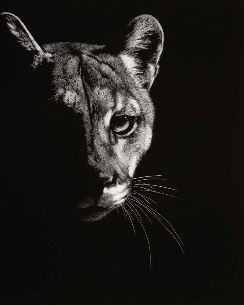 Art Print: Black Glimpse IV