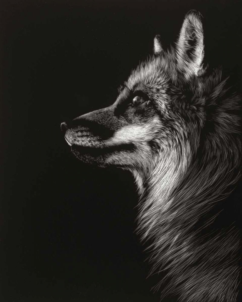 Art Print: Black Glimpse V