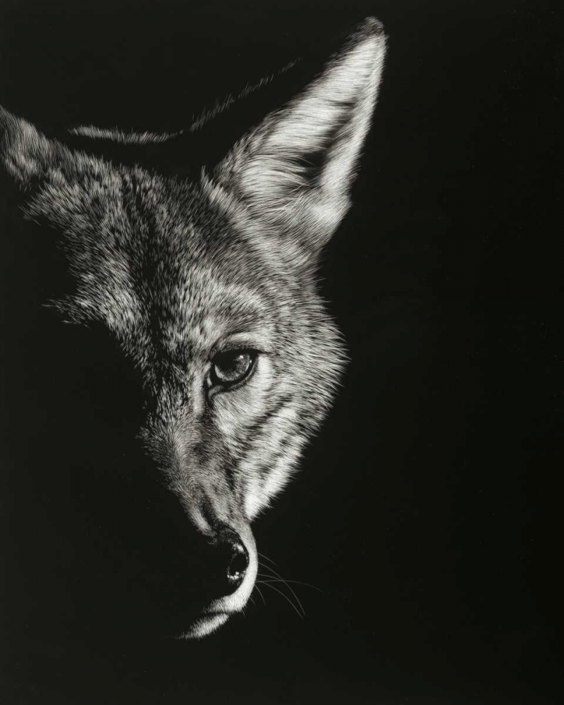 Art Print: Black Glimpse VI