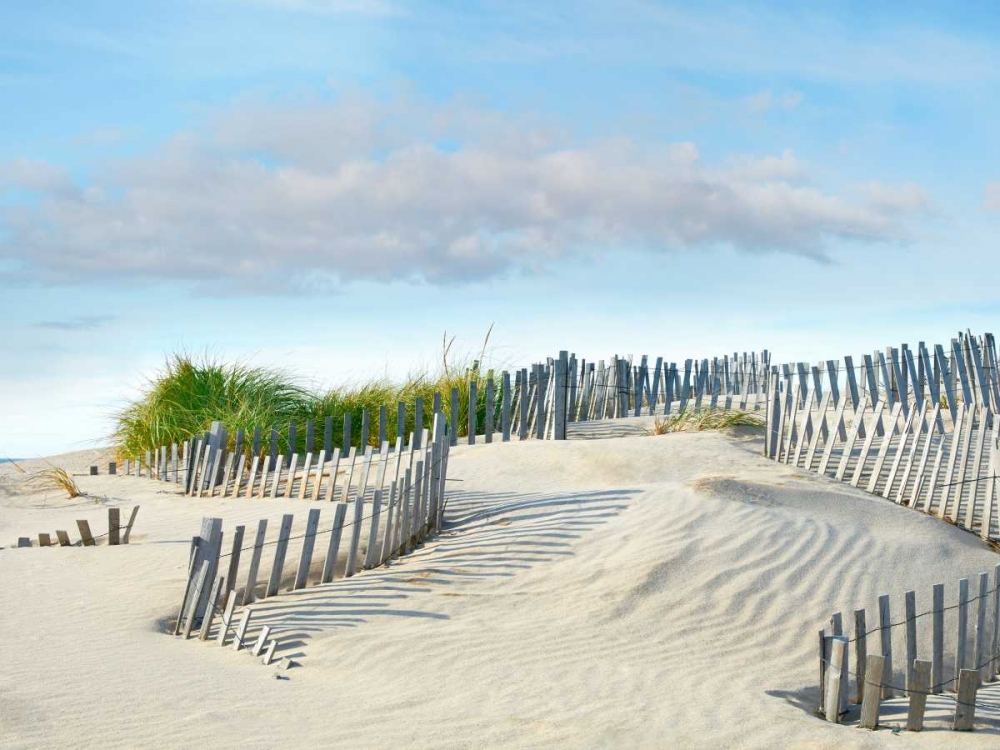 Art Print: Beachscape III