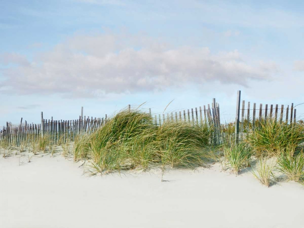 Art Print: Beachscape IV
